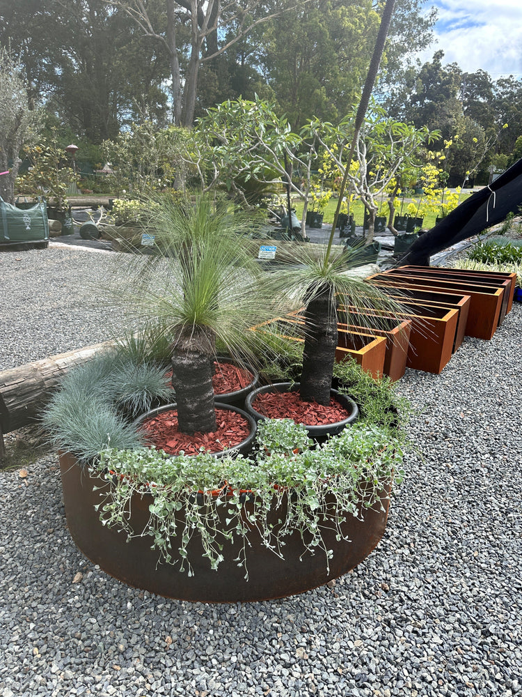 Corten