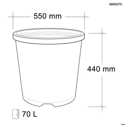 Mastelli Container