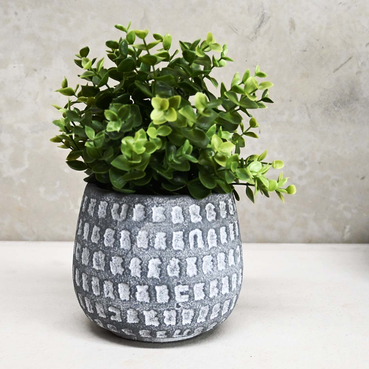Dart Squat Dot Congo - Grey