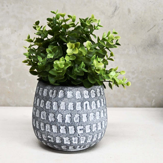 Dart Squat Dot Congo - Grey