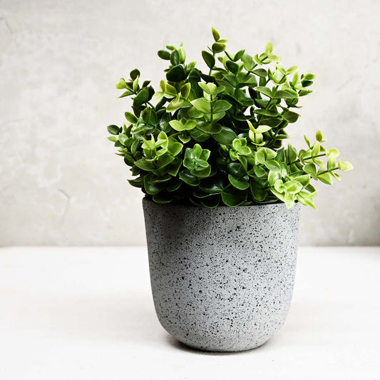 Dart Mini Egg - Grey Stone