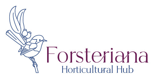 Forsteriana