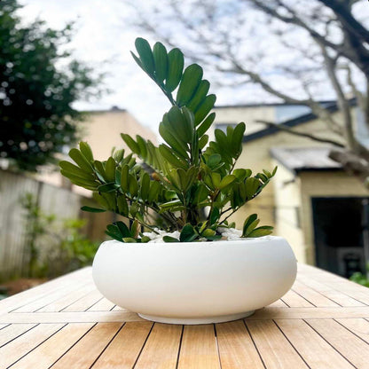 GardenLite Bowl - White
