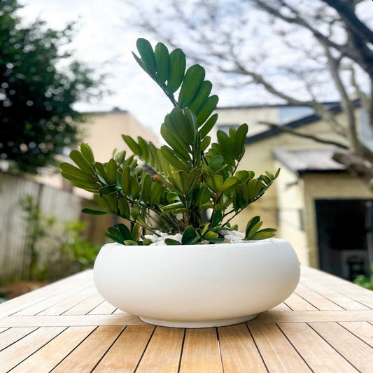 GardenLite Bowl - White
