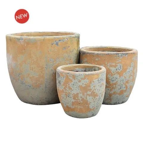 Annatto Egg S/3 Antique Orange