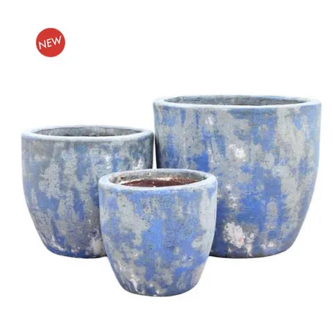 Annatto Egg S/3 Antique Blue