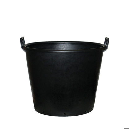 Mastelli Container