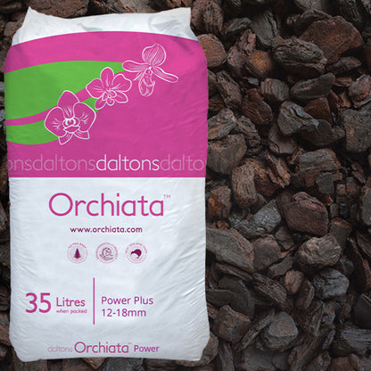 Orchiata Bark 35L